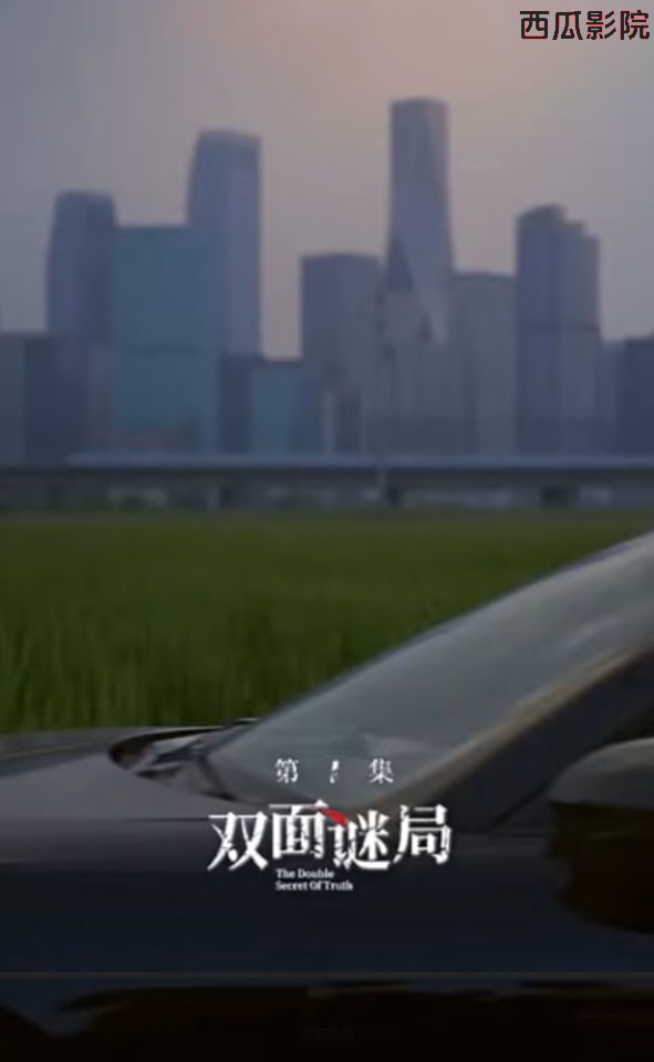 双面婚局