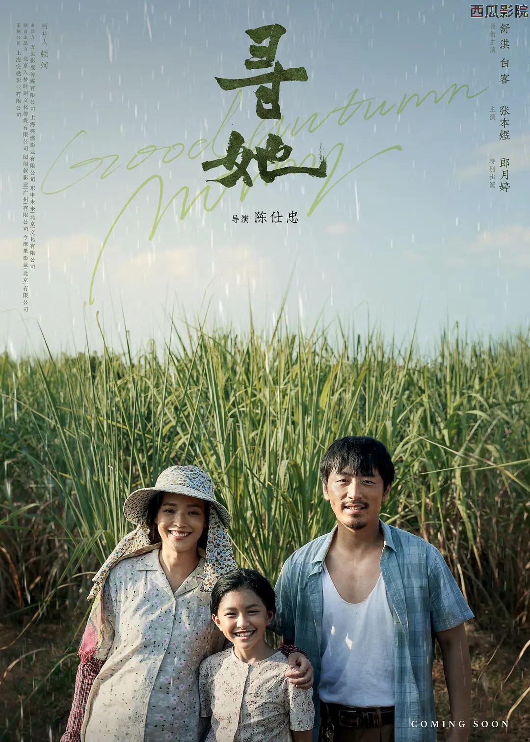 寻她 普通话版